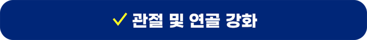 관절 및 연골 강화