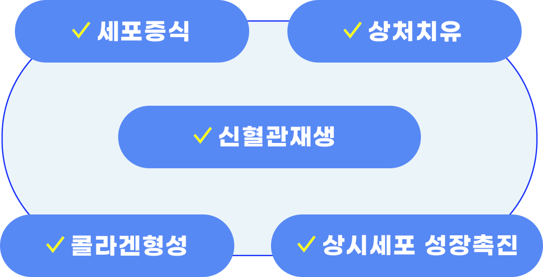 세포증식, 상처치유, 신혈관재생, 콜라겐형성, 상시세포 성장촉진