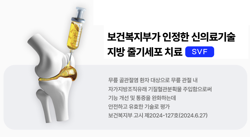 지방 줄기세포 치료 대표이미지